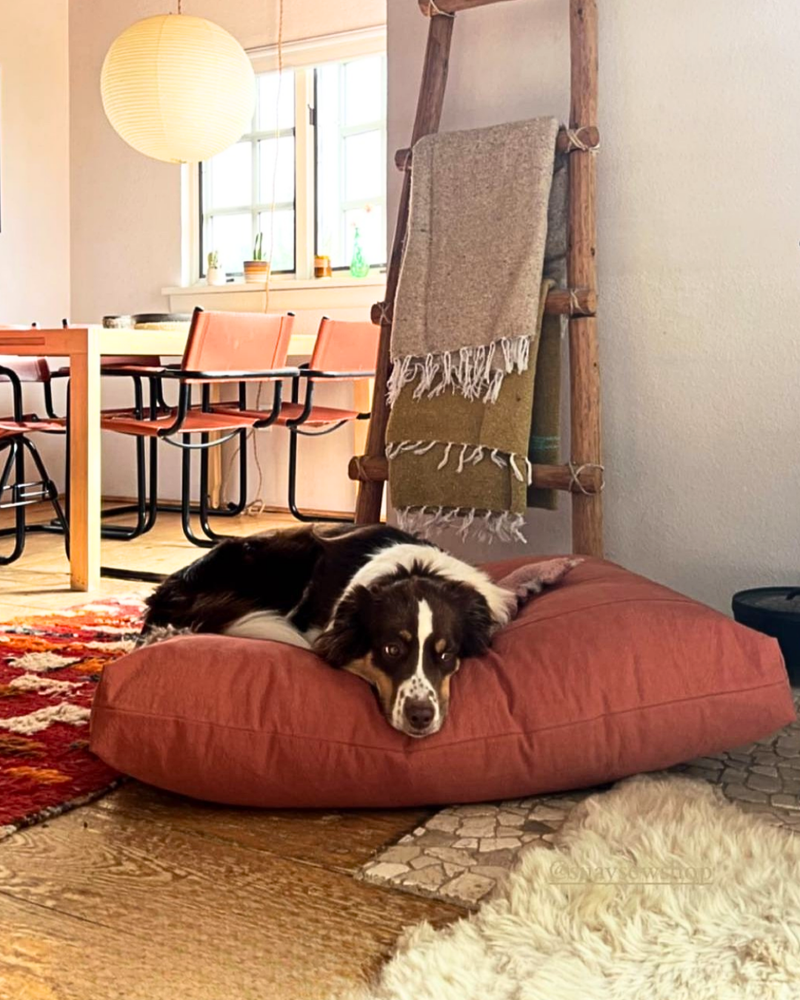The Canvas Cushion