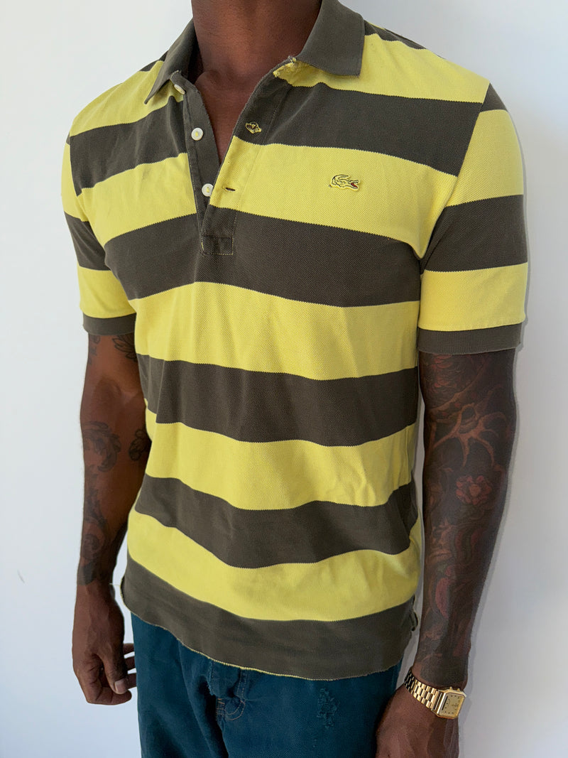 HUMMINGBIRD KISSES LACOSTE POLO SHIRT